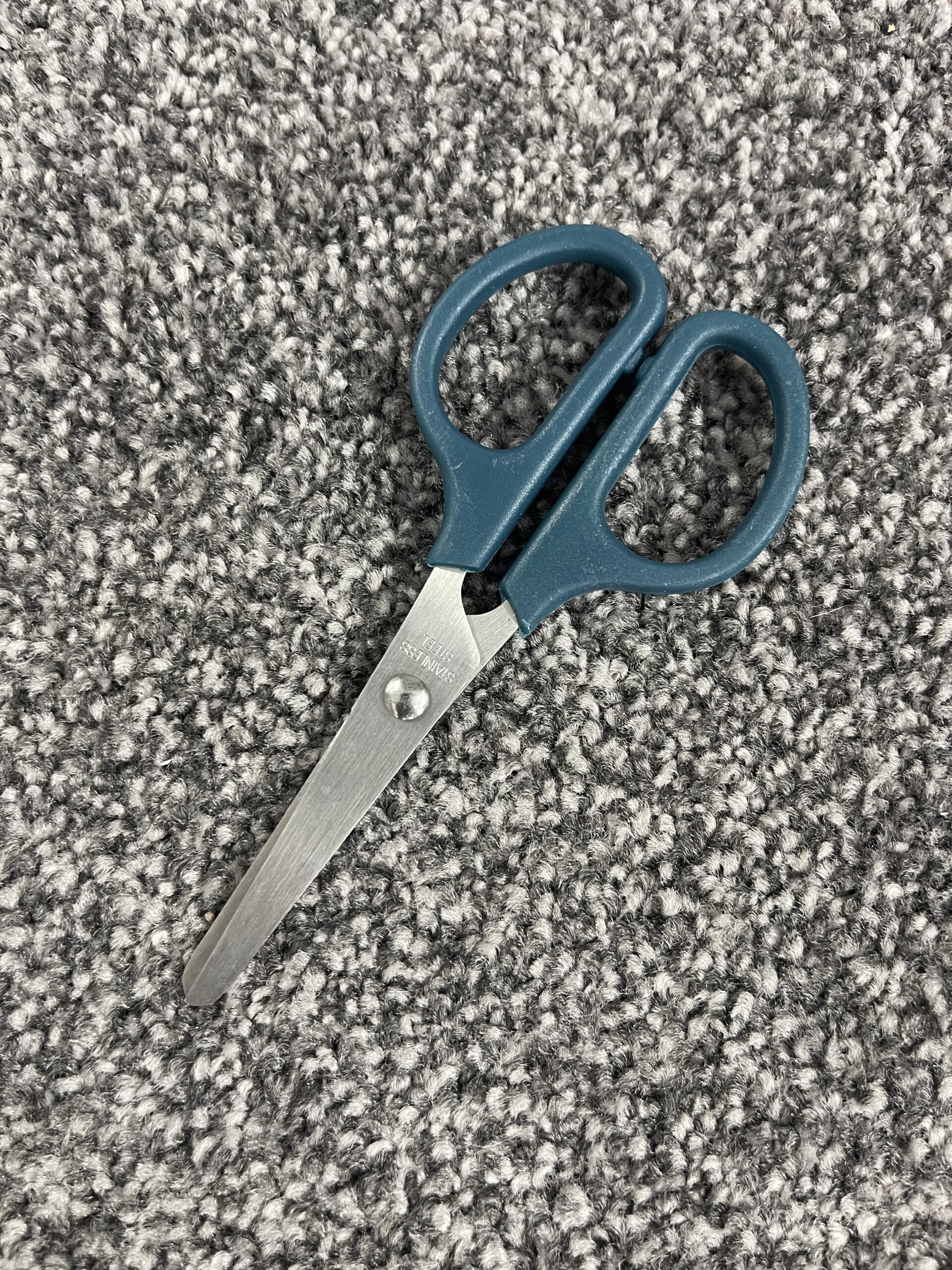 Blunt Scissors